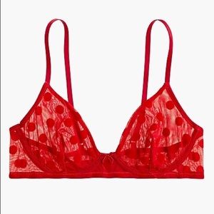 J Crew mesh polka dot underwire bra